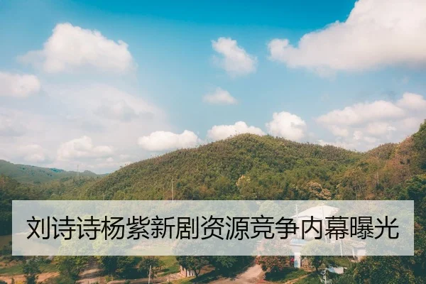 刘诗诗杨紫新剧资源竞争内幕曝光
